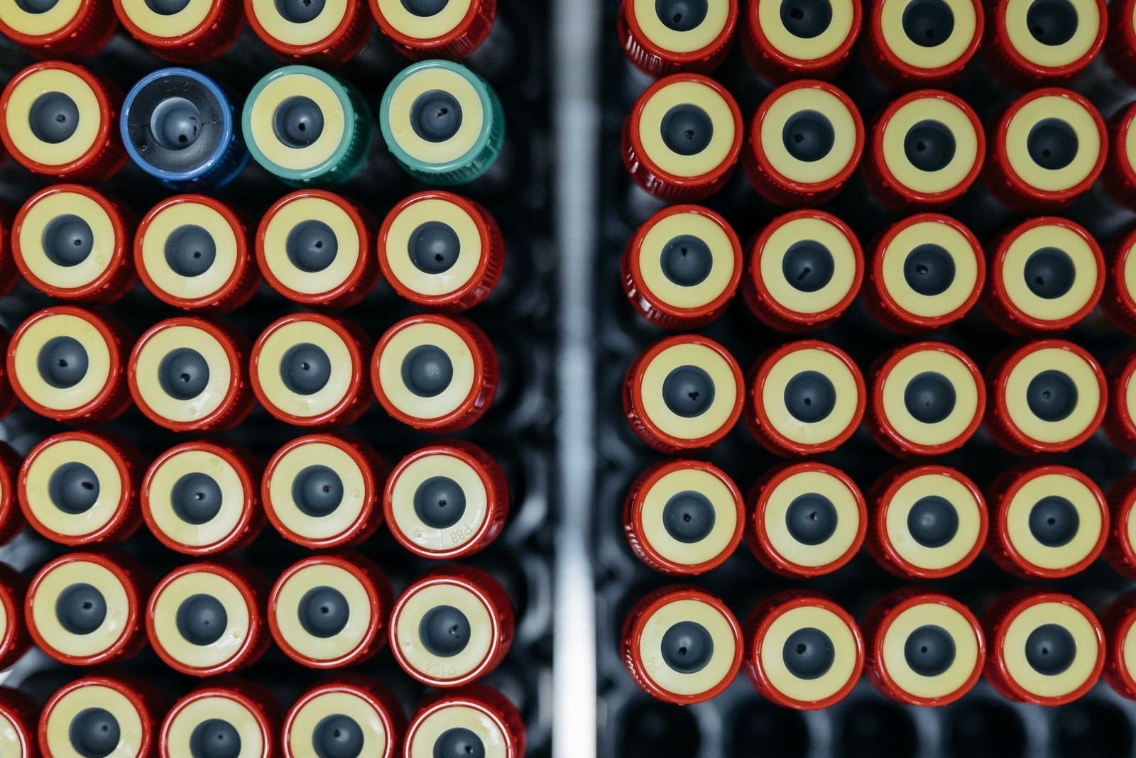Vista superior de tapas rojas y amarillas de tubos de laboratorio en una gradilla, sin personas ni texto