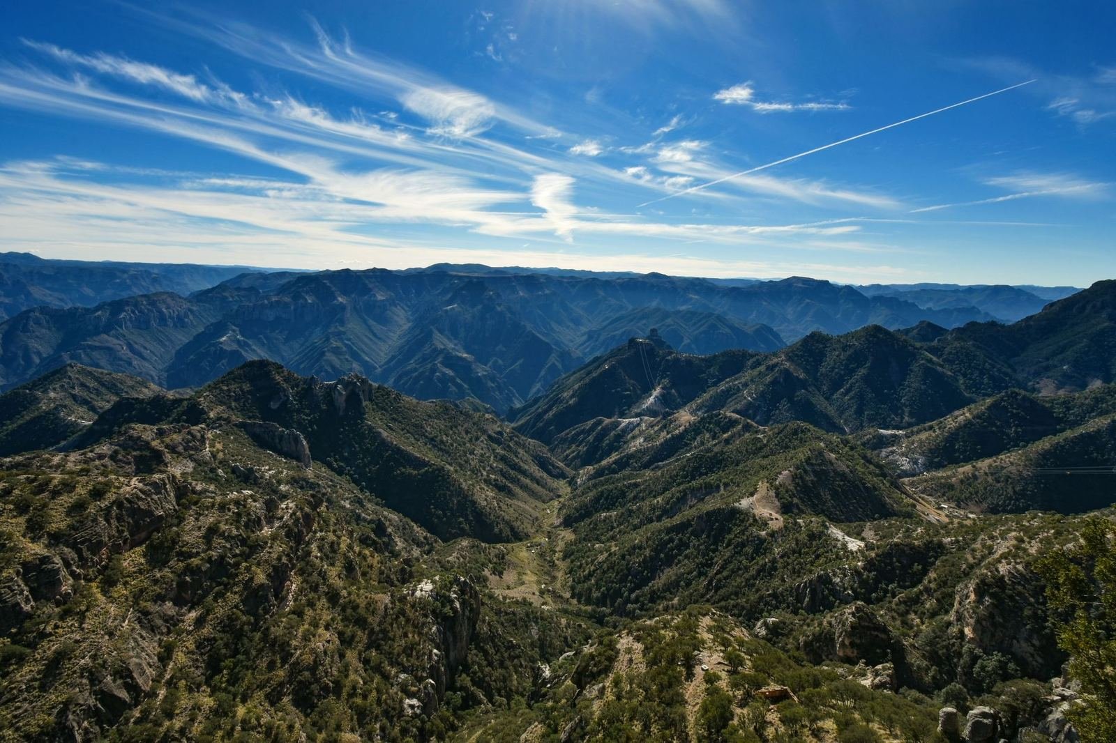 Barrancas de la Sierra Tarahumara cubiertas de bosque bajo un cielo azul, sin personas