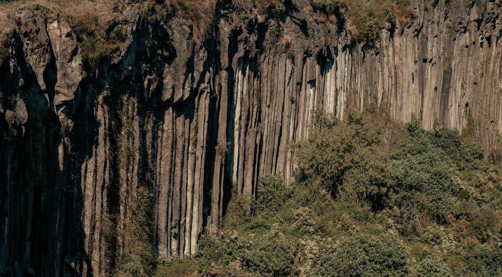 Pared de columnas de basalto verticales con vegetación al pie, característica de los prismas basálticos de Hidalgo, sin personas