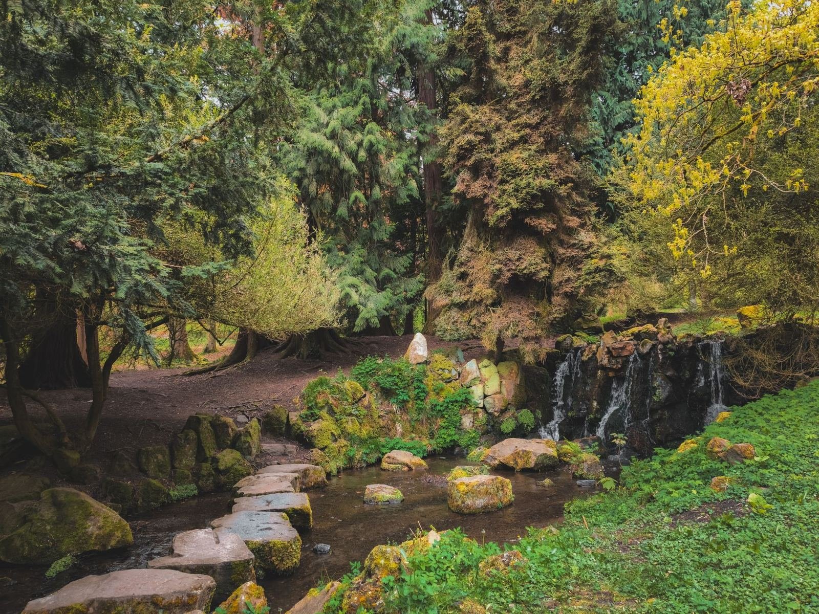 Piedras planas formando un camino sobre un arroyo en un bosque con una pequeña cascada, sin personas ni texto
