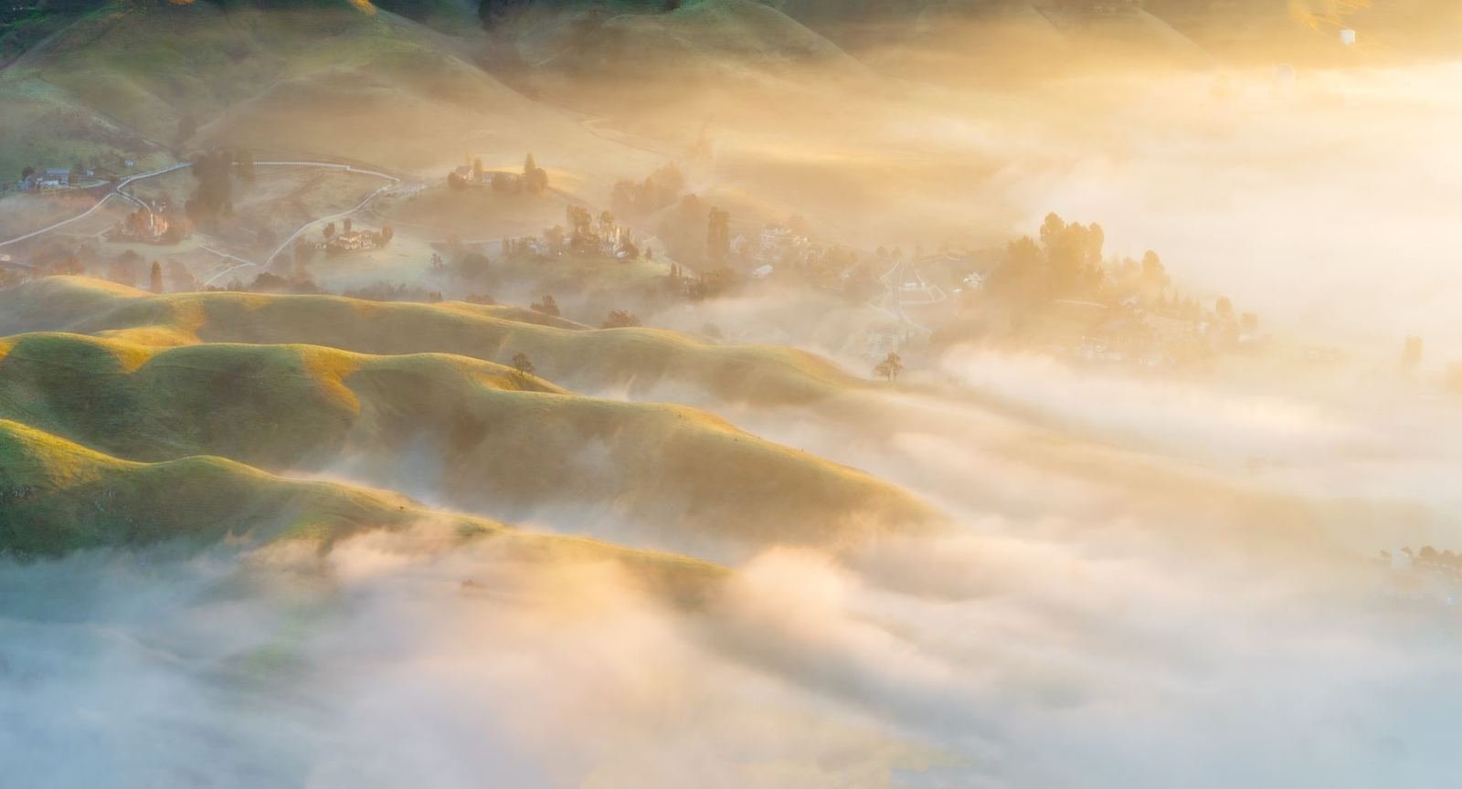Colinas verdes cubiertas por neblina dorada al amanecer, con luz cálida y suave, sin personas ni texto