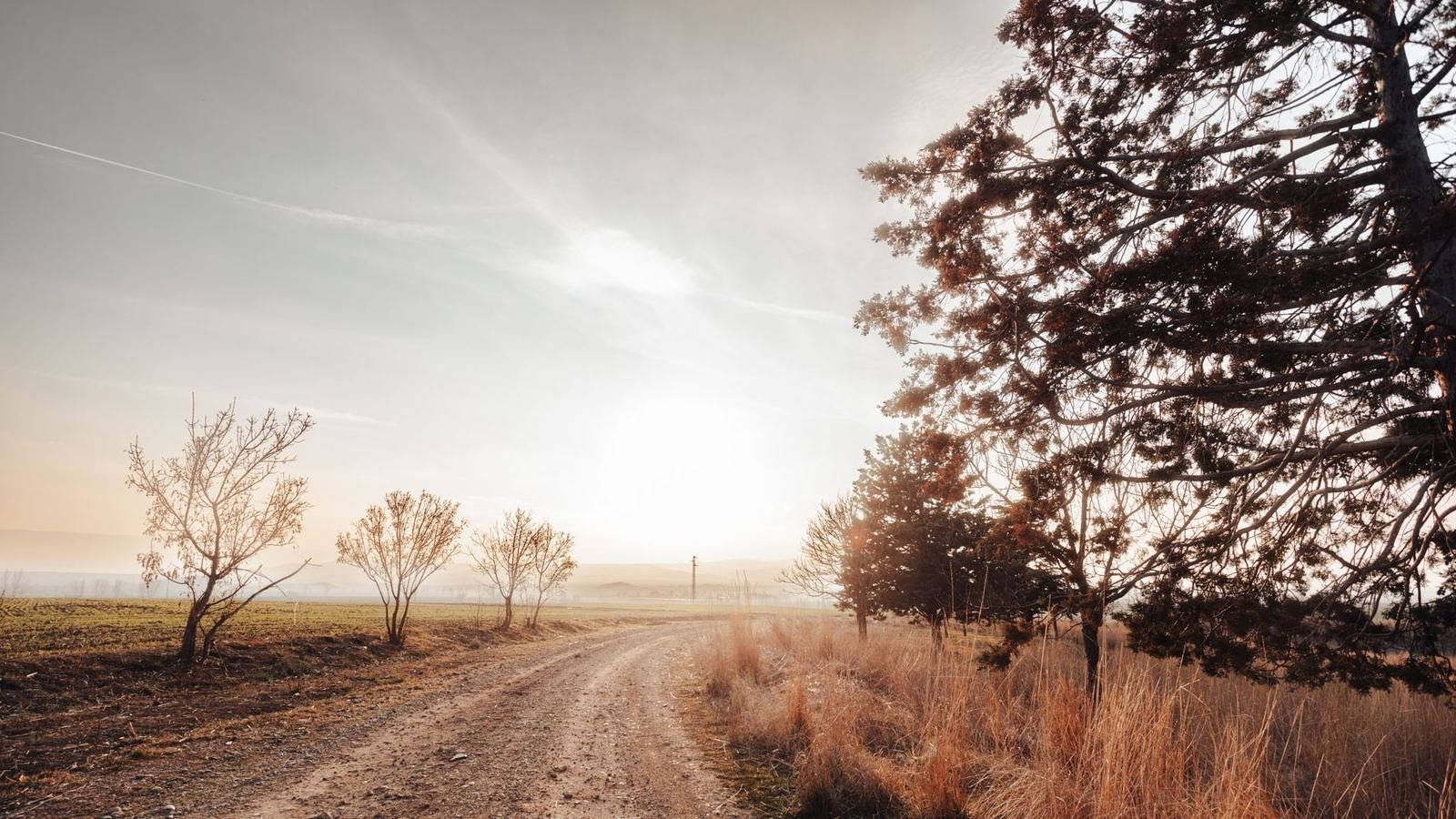 Camino de tierra que se curva entre campos y árboles al amanecer, con luz cálida y neblina suave, sin personas ni texto